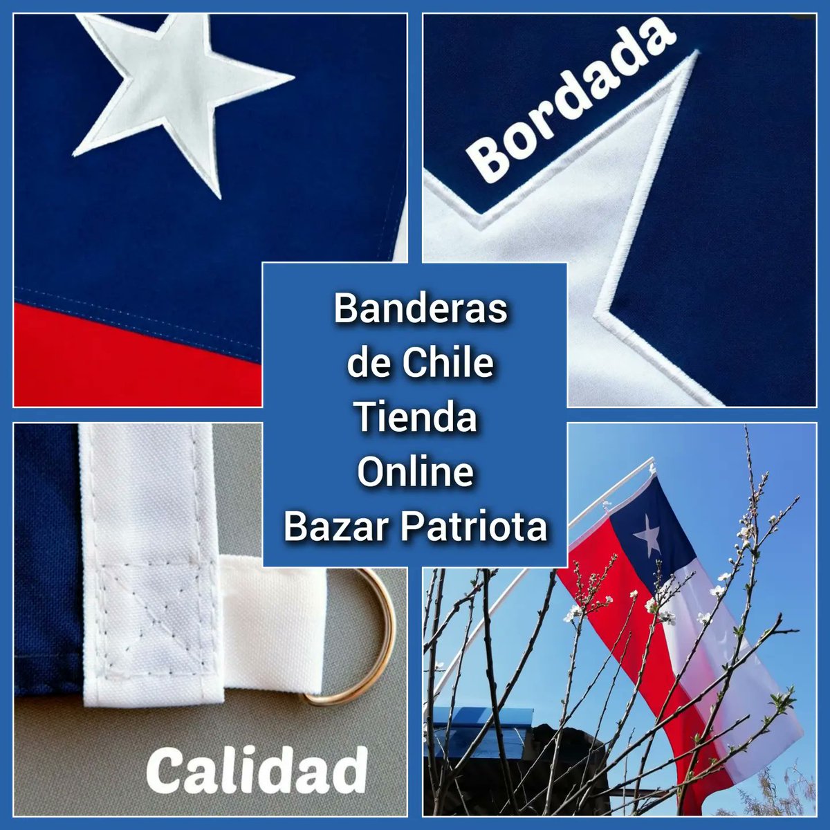 BazarPatriota's tweet photo. Vendemos banderas de Chile 🇨🇱
Todas las medidas
Información y reservas por mensaje
Despacho a todo Chile
Democracia Viva Daniel Andrade #FundacionesTruchas #alerta #SinFiltros #enacional #mesacentral #toleranciacero #patriotismo #50AñosDeLibertad #ffaaalpoder https://t.co/yPzjWMFEO0