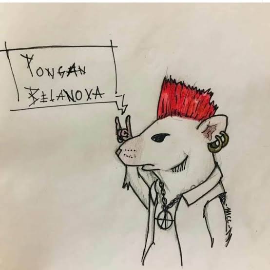 edgarsagra's tweet image. #PoderosoPlus pongan Belanova