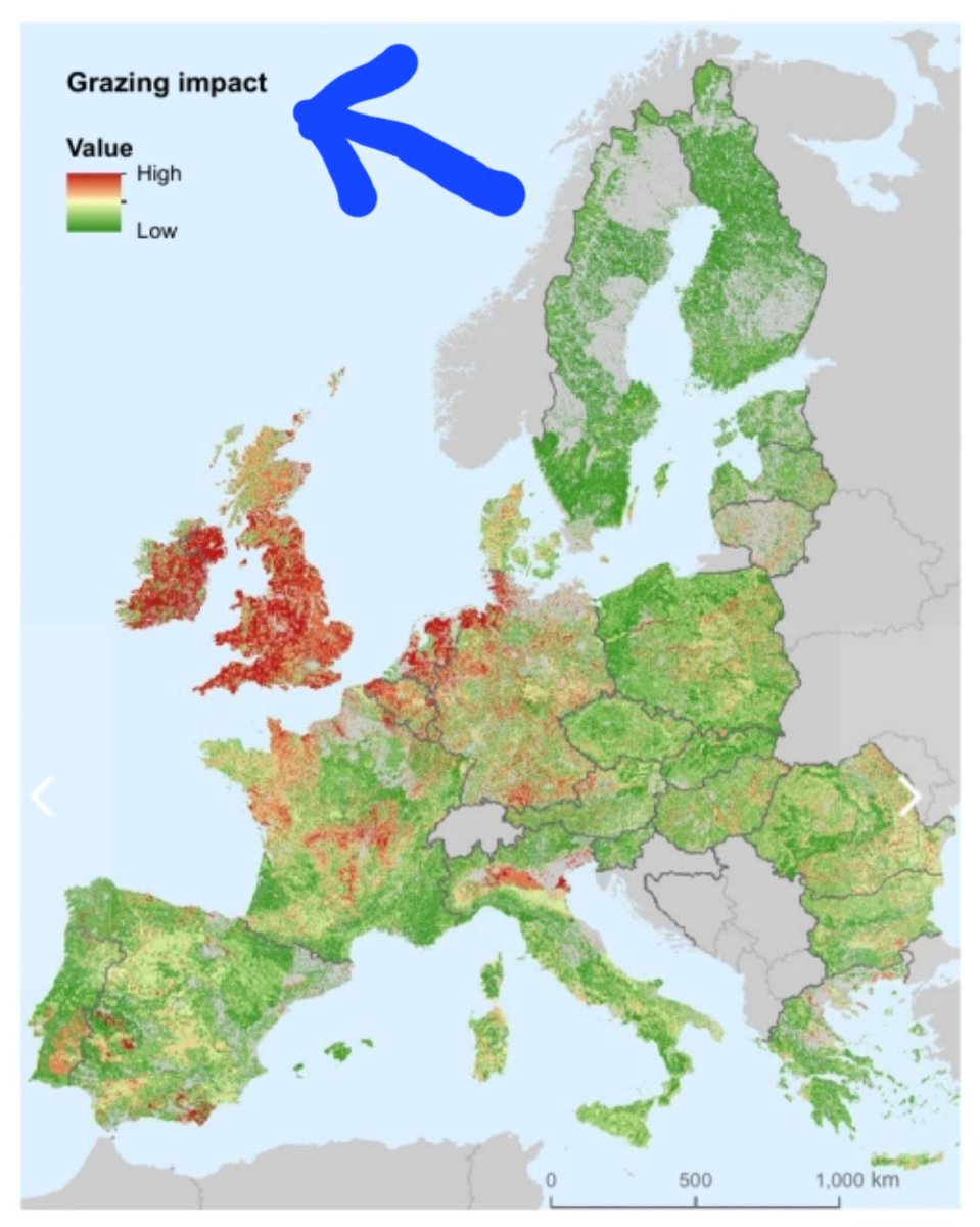 Out of all 240 global nations and states, Ireland is 13th from the bottom in biodiversity intactness.

Why?

One reason stands out.
