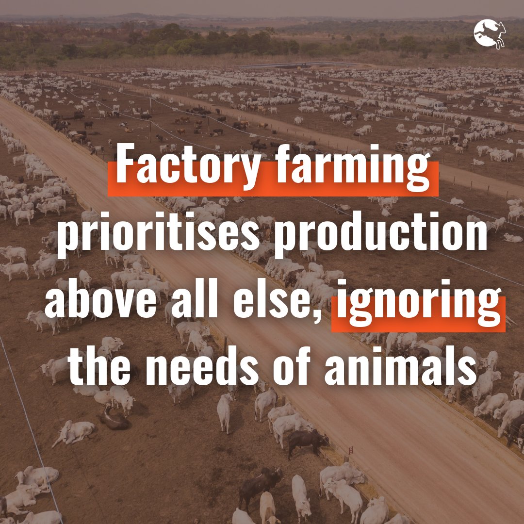 If you love animals, you should hate factory farms. It's that simple.