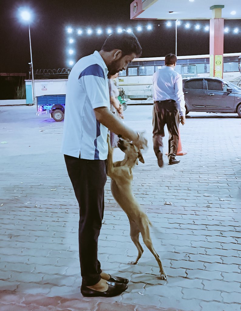 VImvinit007's tweet photo. हे सोचो कल क्या थे , देखो अब क्या हो
तुमको ले ना डूबे ,कही अपनी यह लड़ाई
प्यार बांटते चलो , प्यार बांटते चलो
हे प्यार बांटते चलो , प्यार बांटते चलो ❤️❤️

#Petlover #Vimvinit007 https://t.co/P3I2z2ZYSF