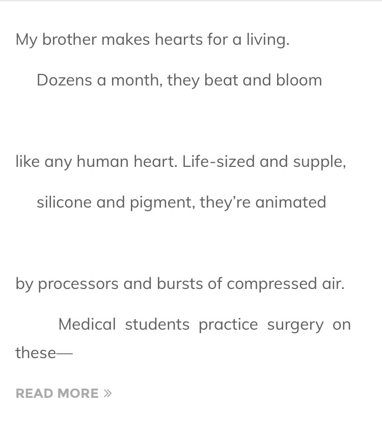 lydia paar tweet media