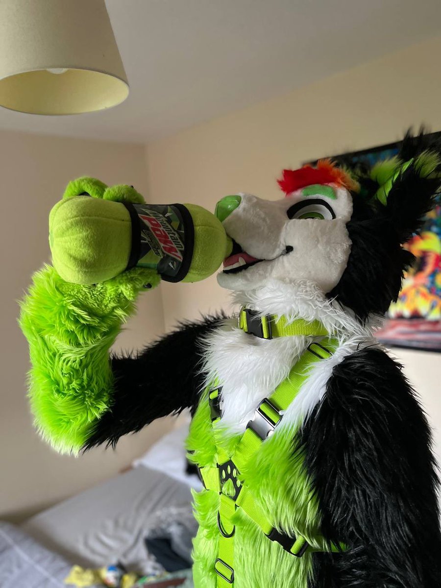 Remember to stay hydrated this #FursuitFriday 🥤

📸: @ShadowWolf_89