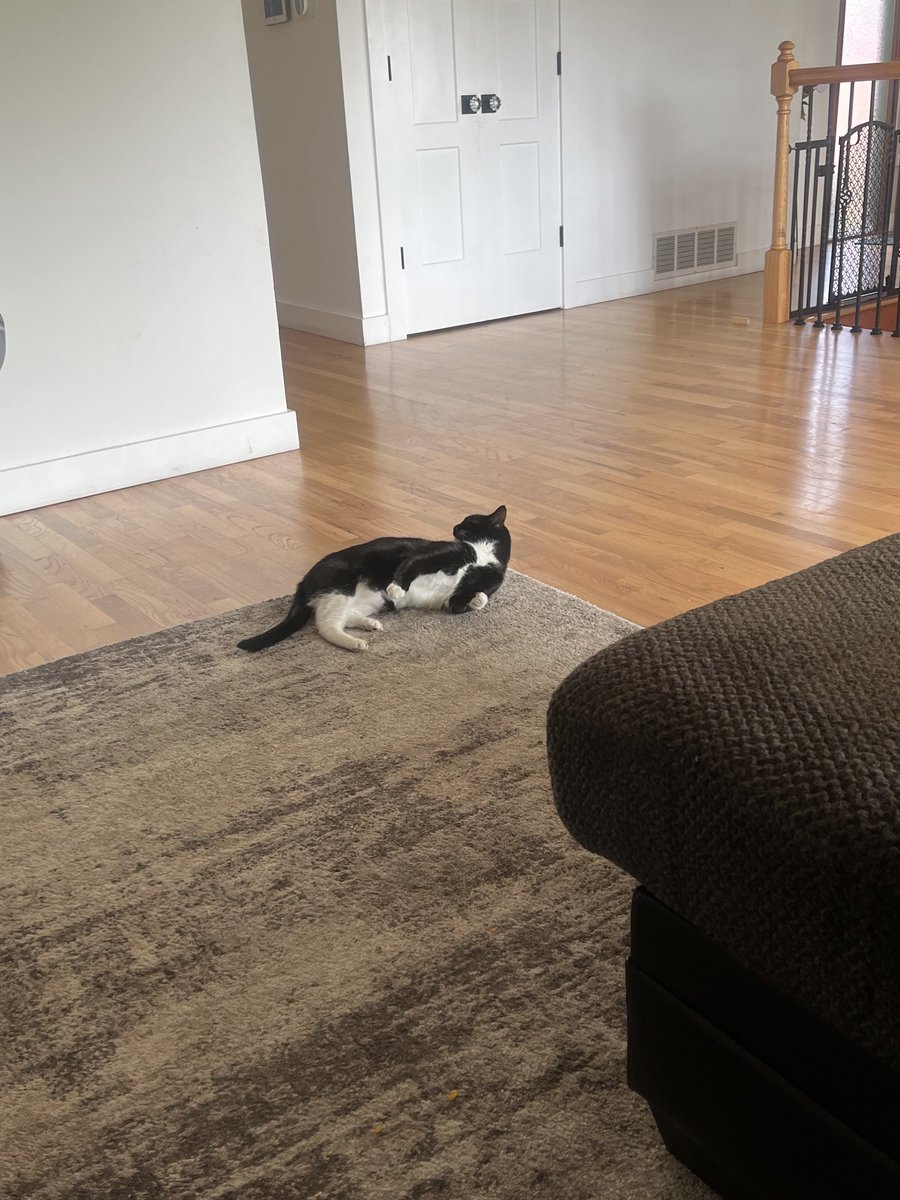 owner of the house