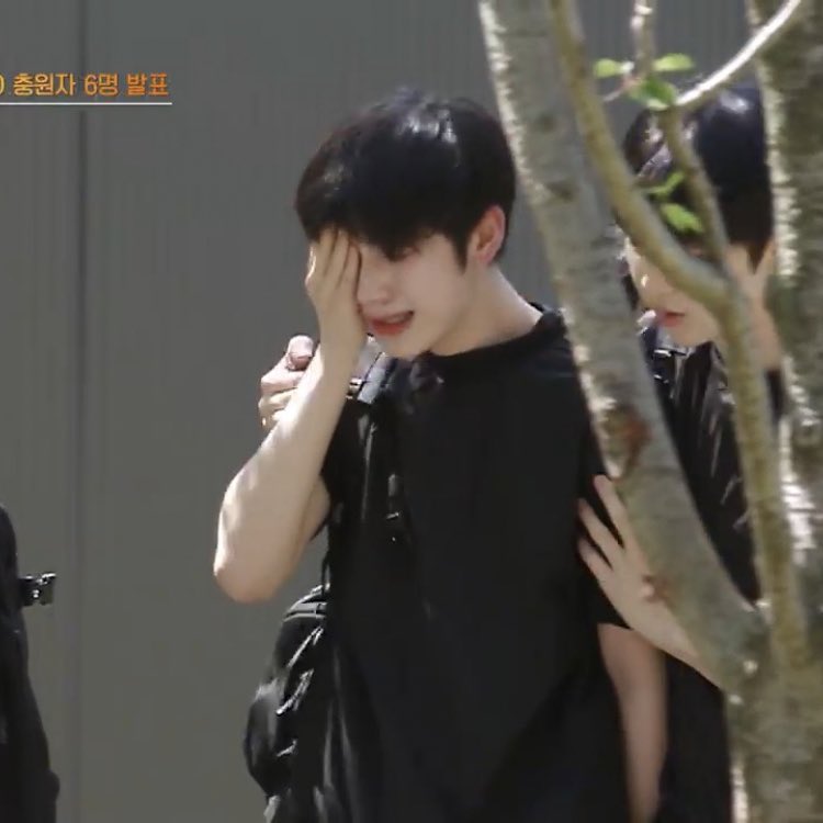 찹도나 tweet media