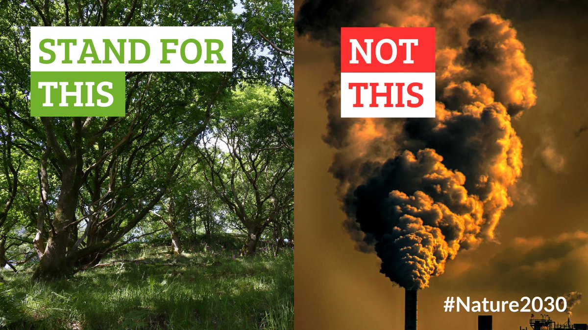 It’s time to remind politicians that we are firmly behind accelerating action for clean air, unpolluted rivers, and a #WilderFuture for all.
Make your voice heard - Join #Nature2030 and tell politicians to step up 👇

wtru.st/Nature2030