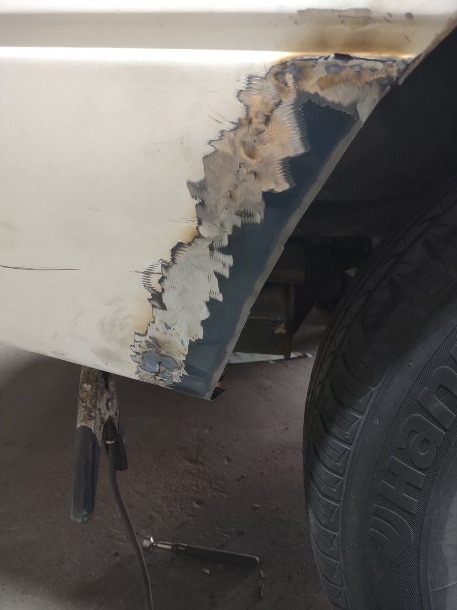 Turkey A.K.A pavo tweet media