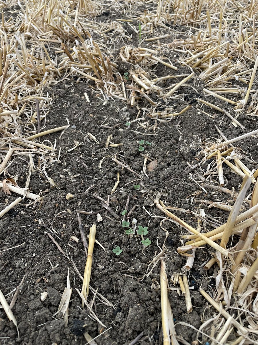 Matthew Carter tweet media