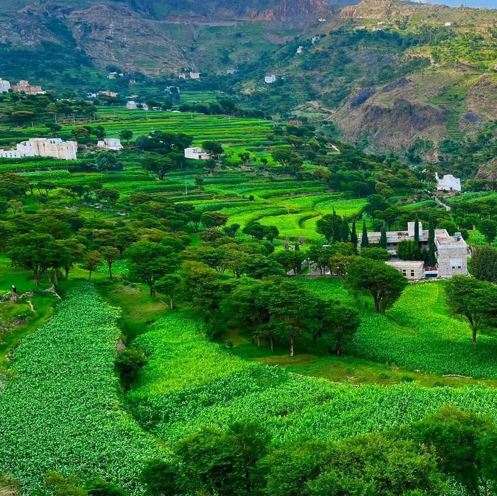 الطبيعة الخلاّبة - محمية عتمة 😍 
ذمـــــــار

📸 : حمد عثمان #اليمن