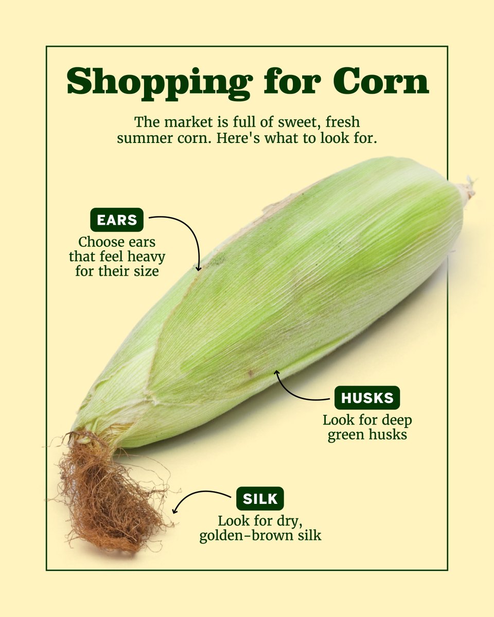 TestKitchen's tweet photo. ‘Tis the season for sweet summer corn. 🌽 Follow these tips to ensure you pick out the freshest of the bunch. Get our recipe for Fresh Corn Muffins: https://t.co/JkDcm484LE https://t.co/kWumFyE6Mo