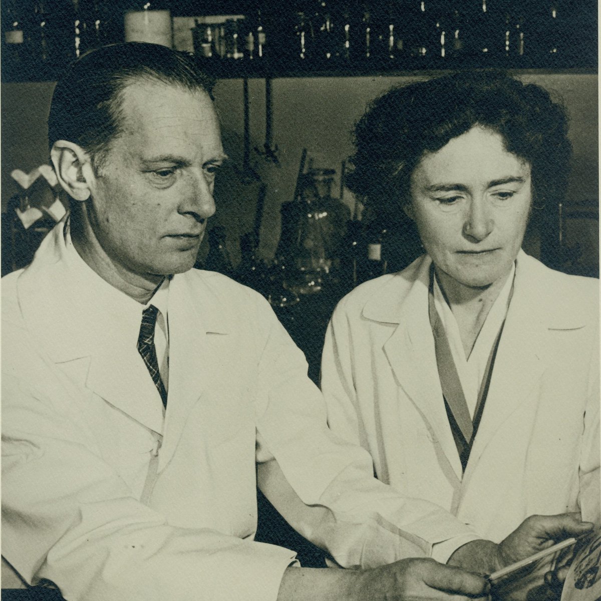 Library & Research Center tweet media