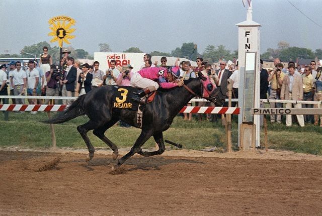 HORSERACING1002's tweet photo. SNOW CHIEF🇺🇸1983
(REFLECTED GLORY - MISS SNOWFLAKE BY SNOW SPORTING)
#SnowChief
B/ Blue Diamond Ranch(Ca) Mar 17, 1983.
O/ Grinstead &amp; Rochelle.
T/ Melvin F. Stute. 
24-13-3-5---$3,383,210
1986 champion 🏆 3yo Colt. 
Hollywood Futurity G1,  Norfolk S G1,  S. J. Ridder S, https://t.co/EbuJWOh9JB