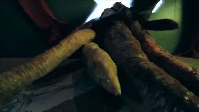 CreatureCrunch's tweet photo. Hey. Don't image search this movie unless you're prepared to see boob monsters. Just saying.

Check out our podcast #CreatureCrunch for the episode!

#CallGirlofCthulhu #ttrpg #DnD https://t.co/RvJYJ5kjY4
