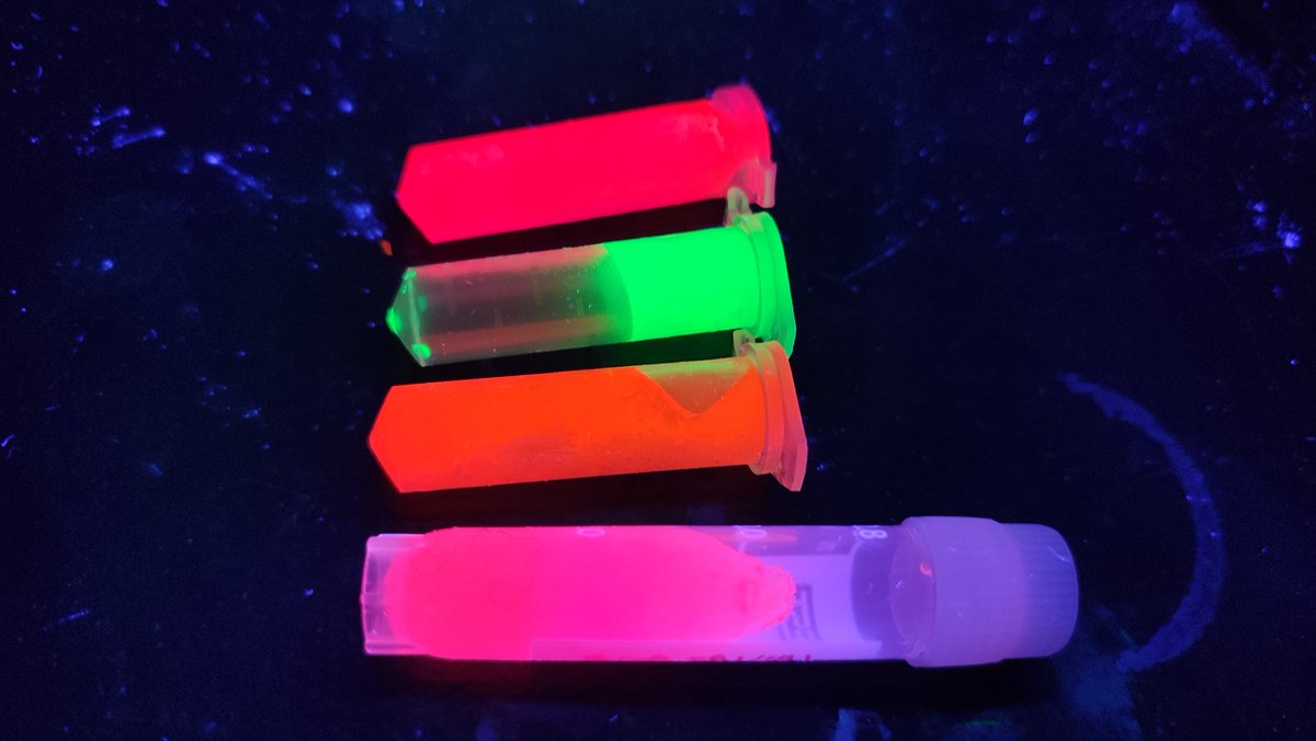 Organic chemistry 
#fluorescencefriday