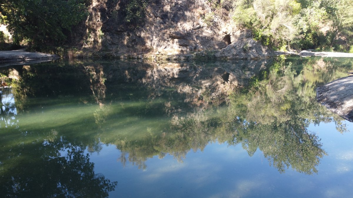 AltoGenal's tweet photo. EL RÍO #GENAL MANTIENE ZONAS DE BAÑO EN ÓPTIMAS CONDICIONES
@algatocinayto @albertinich #ValledelGenal #rioGenal #SerraniadeRonda #verano #rios #banos https://t.co/sAJqKfRCzZ
