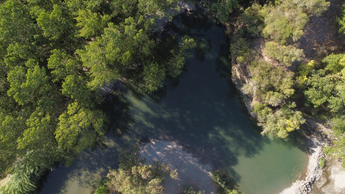 AltoGenal's tweet photo. EL RÍO #GENAL MANTIENE ZONAS DE BAÑO EN ÓPTIMAS CONDICIONES
@algatocinayto @albertinich #ValledelGenal #rioGenal #SerraniadeRonda #verano #rios #banos https://t.co/sAJqKfRCzZ
