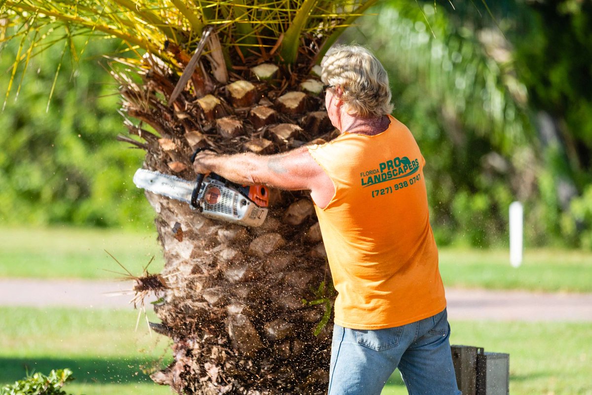 FLProLandscaper's tweet photo. Transforming landscapes since 1989! With over 30 years of experience, Florida Pro Landscapers is your go-to team for professional and high-quality commercial landscaping services. #landscaping #landscapers #Florida #FloridaPro #PortRichey https://t.co/mGQBGLSz3V