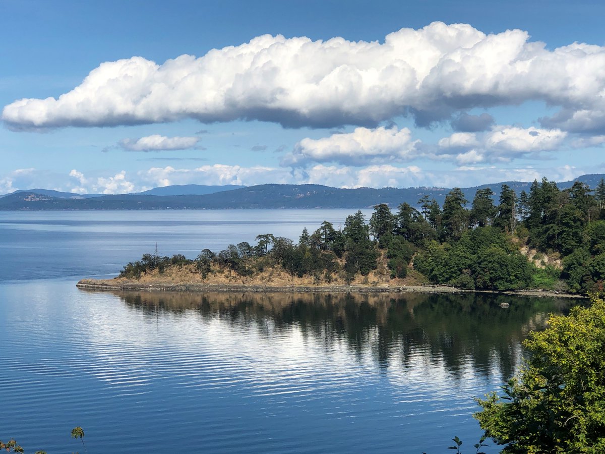 FirstIslandMIC's tweet photo. For our most recent quarter-end of July 31, 2023 we are pleased to report interest @ 6.150% p.a.
We are accepting new funds during our upcoming share opening beginning September 18th. Please contact our office for more information. https://t.co/ABbAKj9cZr