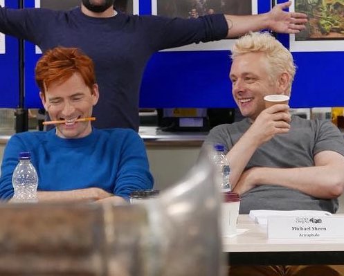 rehza 🌮 tweet media