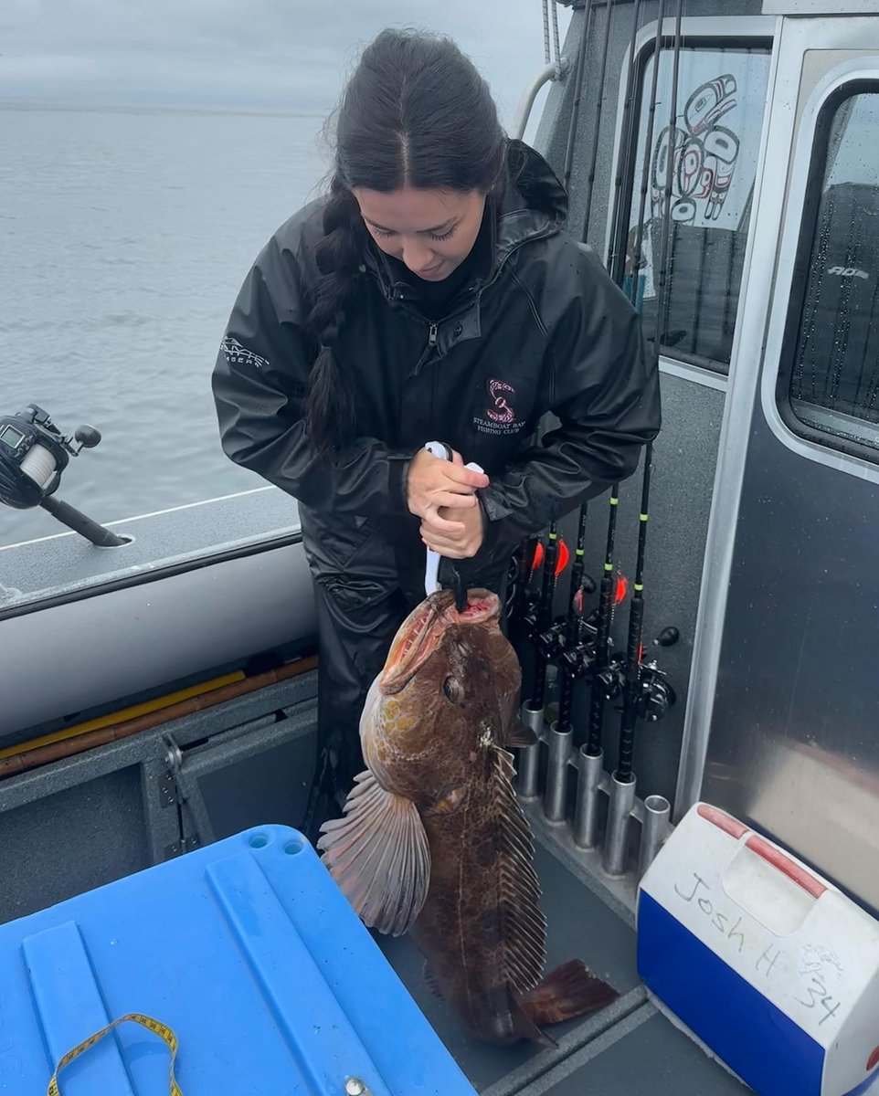 SteamboatBay's tweet photo. 📷 by @hendricksjustine: 🎣
Nice catch, Justine! Some of all the great ones! #halibut #salmon #lingcod!  Thanks for sharing!
#fishalaska #alaska #steamboatbayfishingclub #luxurylodge #luxuryfishingresort #fishinginAlaska #wildcaught #bucketlist #luxuryfishinglodge #fishingtrip https://t.co/xdP8ouhbTF