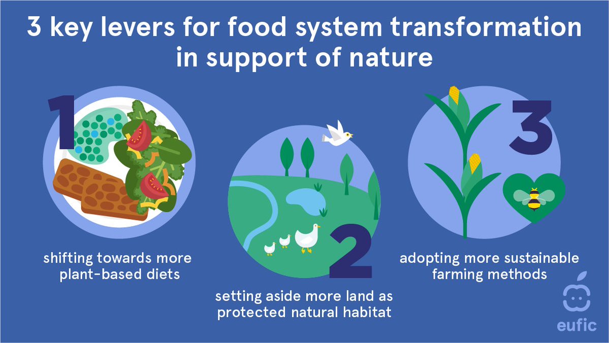 UNBiodiversity's tweet photo. Without reform of our #foodsystem, #biodiversity loss will continue to accelerate and threaten our ability to sustain human populations. Reform will rely on three key levers. 👇

Via @EUFIC https://t.co/B8UIvqOpOu