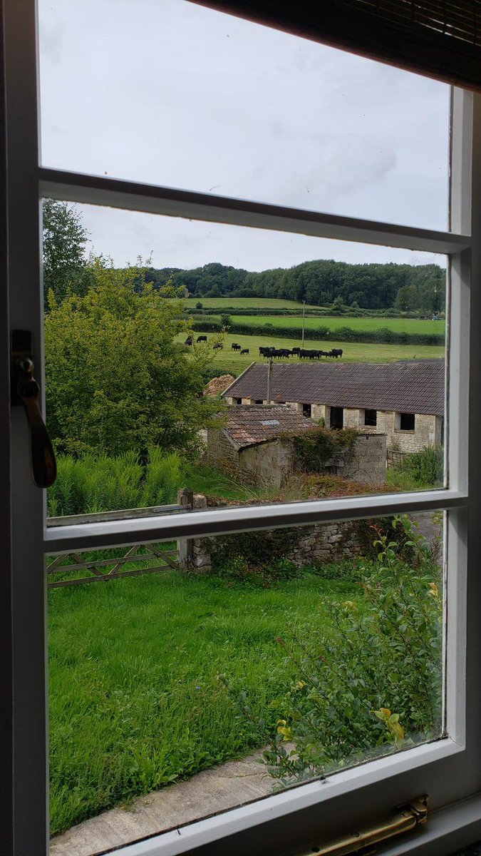 Jamie's Farm tweet media