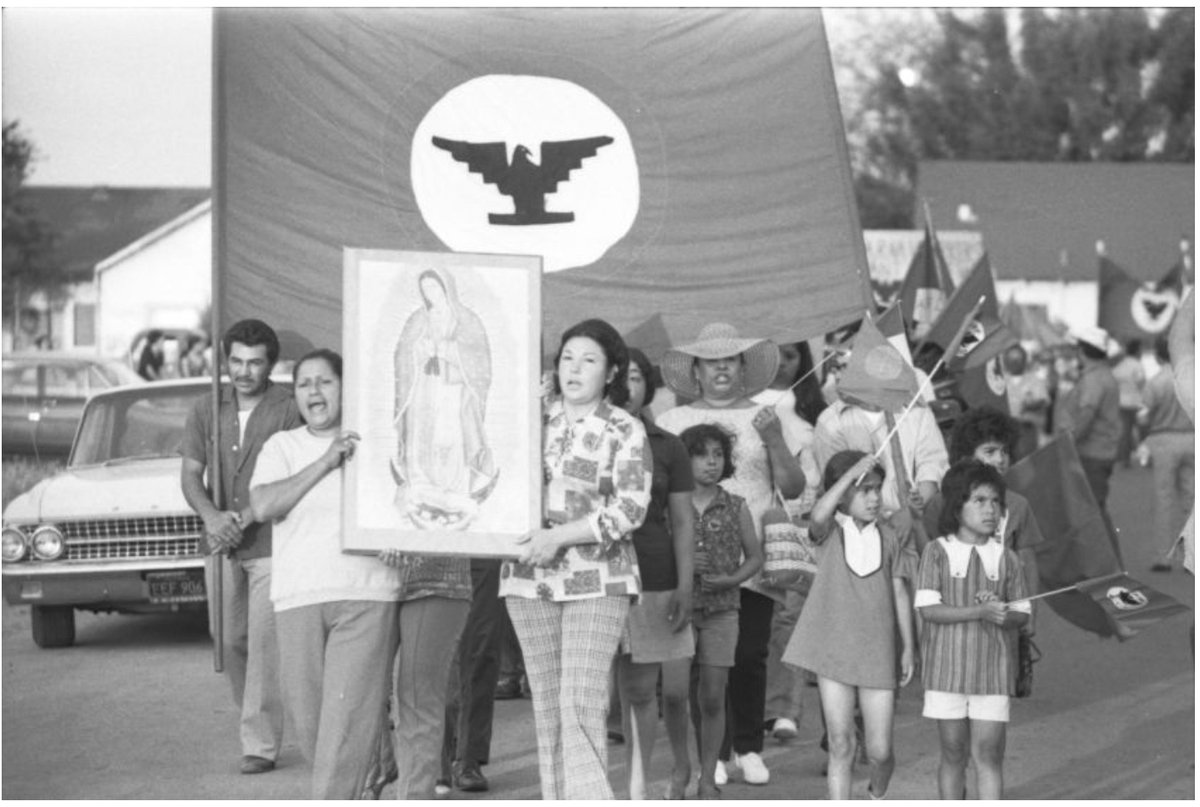 J Paul Leonard Library tweet media