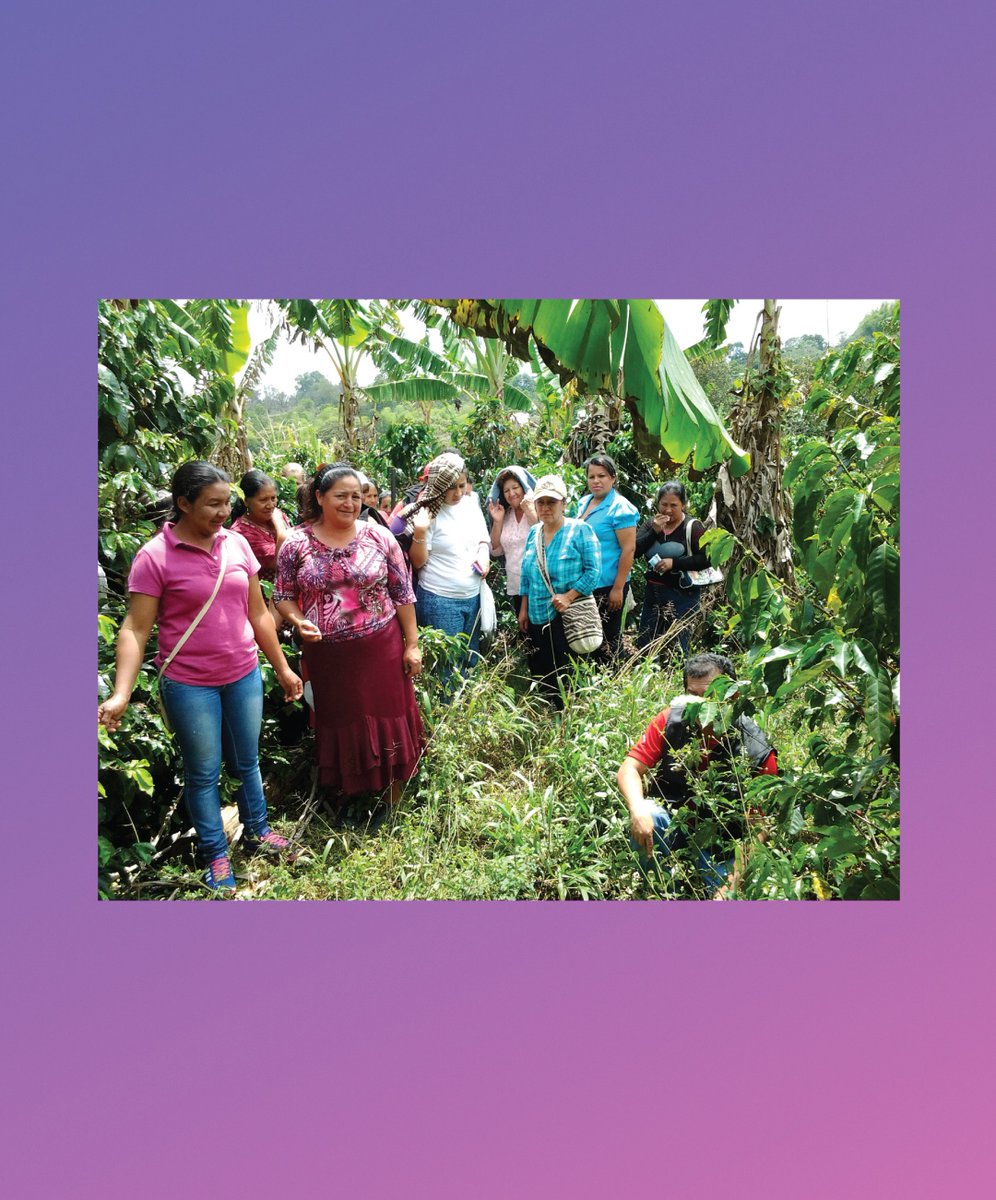 dripp's tweet image. Mujeres Del Cauca, Colombia | This coffee is sourced from a producer association with 274 women.

Notes of Fig, Walnuts, and Dark Chocolate⁠
Available now at DRIPP.COM
.⁠
#Dripp #CoffeeTogether #WomeninCoffee #Coffee