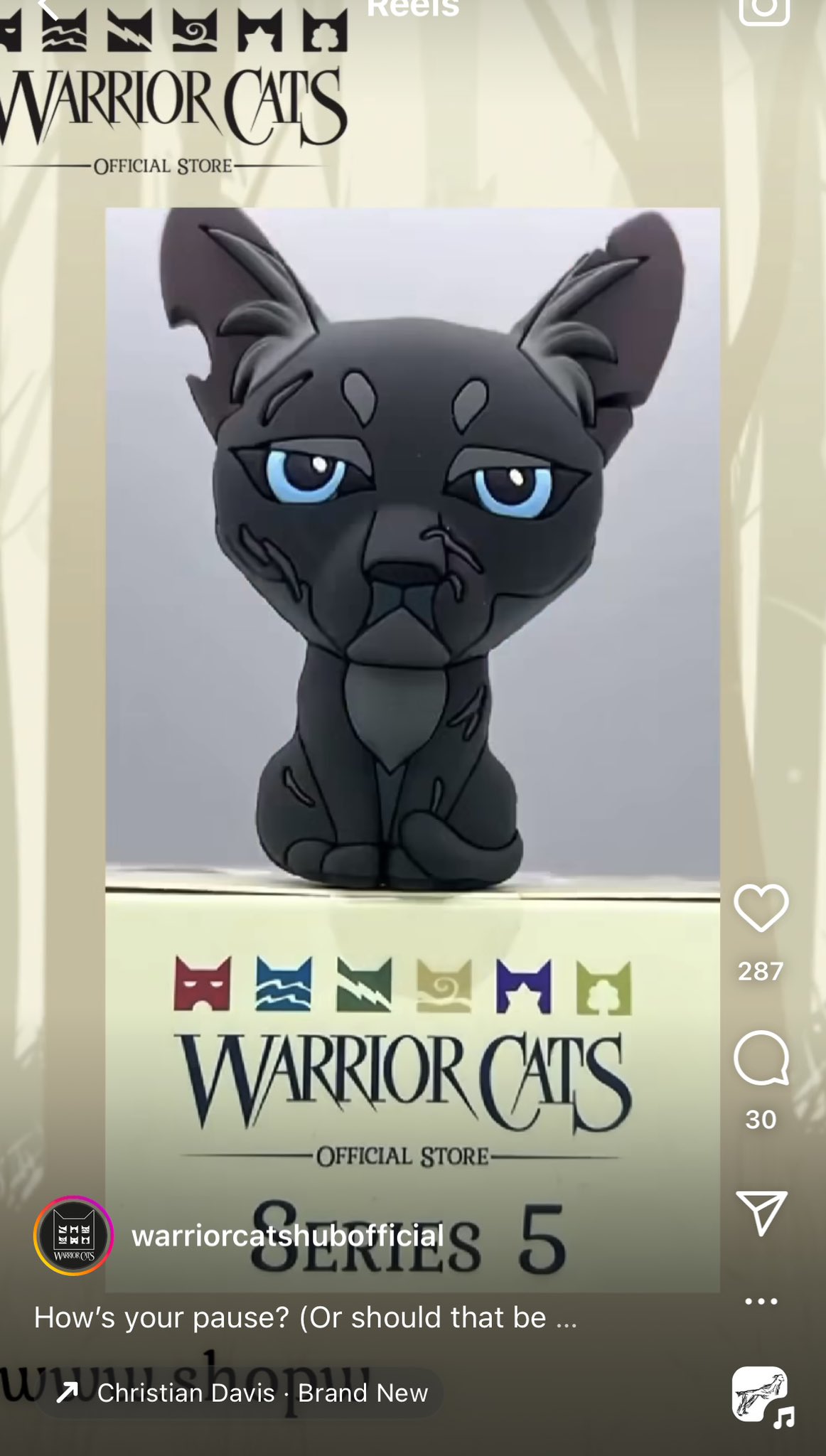 Warrior Cats Store