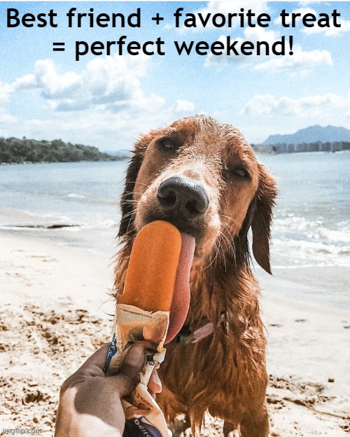 HealthySol4Pets's tweet photo. Enjoy the #weekend with your best pet pal! 🐶🐱

Shop now for your favorite Healthy Solutions for Pets products!
👉 https://t.co/JdFz60GcE9 https://t.co/rX7i9Am3sd