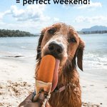 Photo by HealthySolutions4Pet (@HealthySol4Pets)