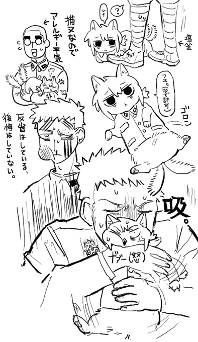 #スバンカ
田中ニャン 