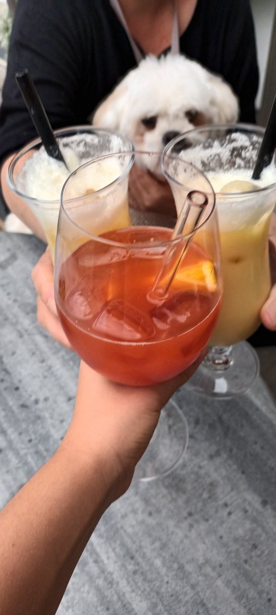 sunny_sommer's tweet photo. Abschlusscocktails🥰
#LittleAlba
#VirginColada https://t.co/GMcz4BTXPS