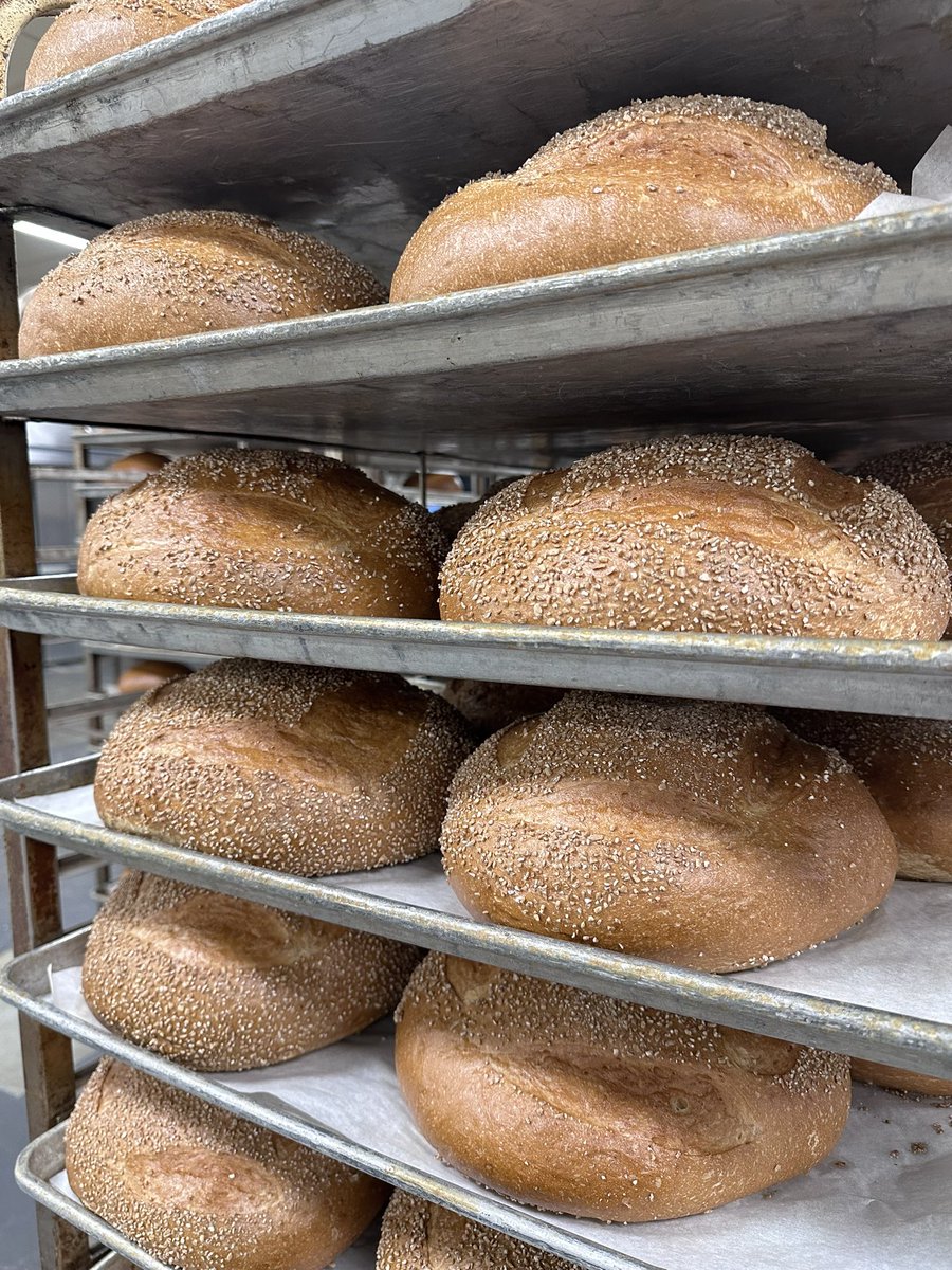 CapitalBakingCo's tweet photo. Our Classic Italian with Cracked Wheat on top. Fresh out the oven and ready for packaging to be delivered at your local @GiantFood 🌾🍞 https://t.co/ZRCrgEc747