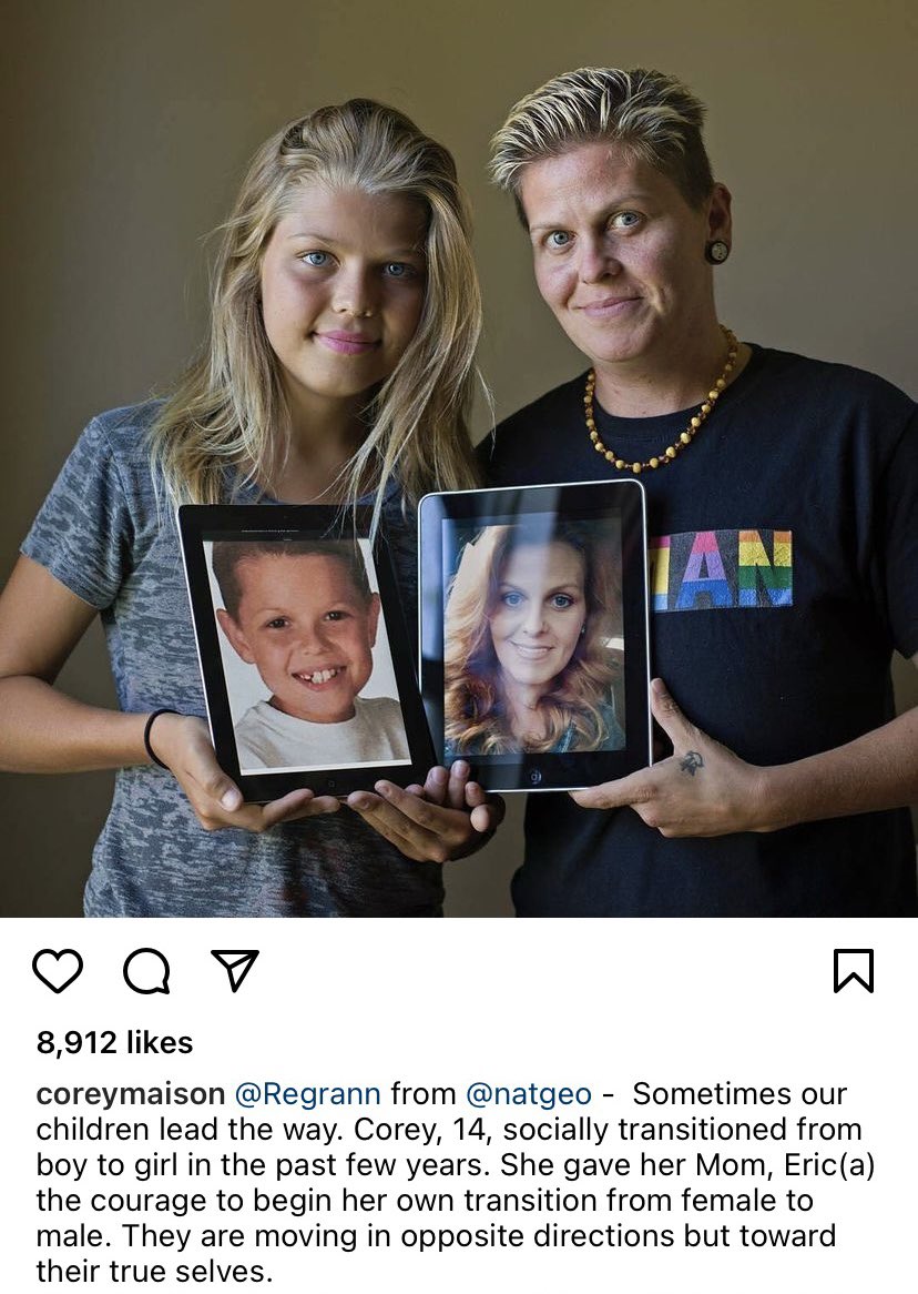 Libs of TikTok tweet media