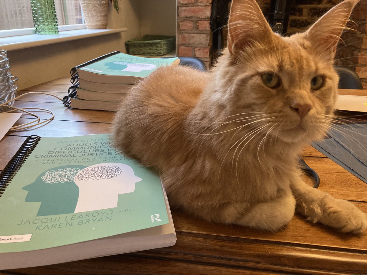 BobTheCat tweet media