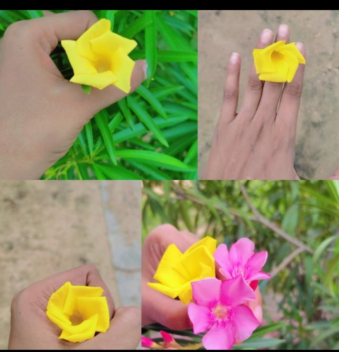 inoy8306's tweet photo. 🌺🌷
#FLOWER 
#NaturePhotography https://t.co/qNaAJFNO2W