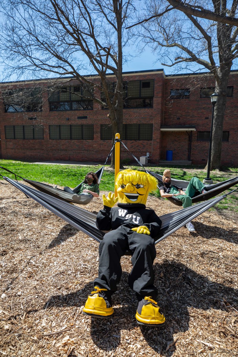 shockerfinaid's tweet photo. It's National Relaxation Day, and while Wu might be chilling in a hammock, your financial aid team is working to finalize your financial aid and scholarships for this fall semester! 
#NationalRelaxationDay #shockerfinaid #WuAid #WuShock https://t.co/7PiuiMKvXU