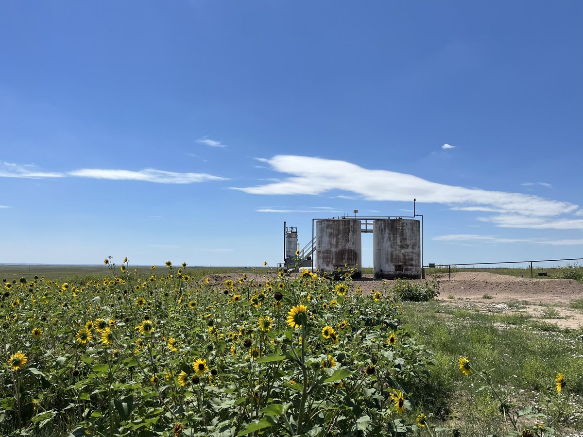 cgrsinc's tweet photo. Our energy services team was in Sterling, CO this week to perform a soil investigation due to a produced water line leak. This site visit entailed hand auguring and soil screening with a PID.
#VOCs #soilinvestigation #energyservices #lineleak #waterlineleak #handauger https://t.co/irVGaGtvUJ