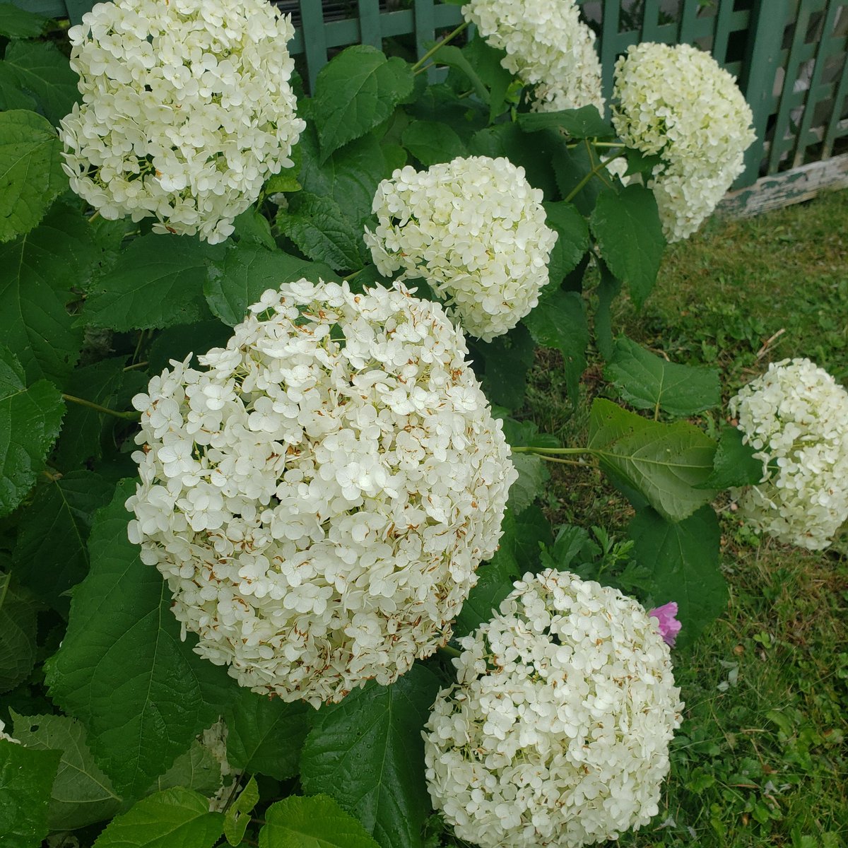 Lisapatb's tweet image. Good Friday afternoon. Great folks to follow: 👣 @themorrisgrand @AceConcierge @adamsconsulting @AliAtInfoverses @PibblesNMe @AmandaRicksBiz @AnthonyGaenzle @BryantCPA @cattisfriberg @DebComanWriting @fondalo @growth_channel @LearnNGainBlog @MarkC_Avgi @NewHorizons123 #FF 💕