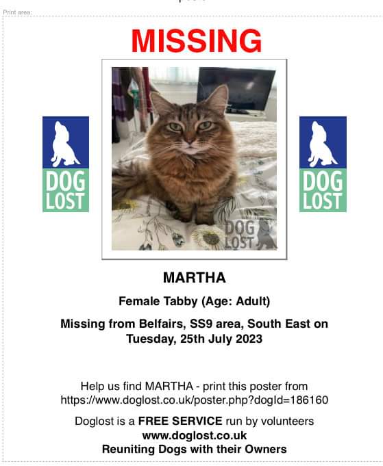 juliagarland73's tweet photo. #Missing #missingcat #martha from #Belfairs #southend on sea #Essex #southeast @Southendonseaes @InSouthendonSea https://t.co/yK2WEHEBtD https://t.co/wdcwnqQaQX