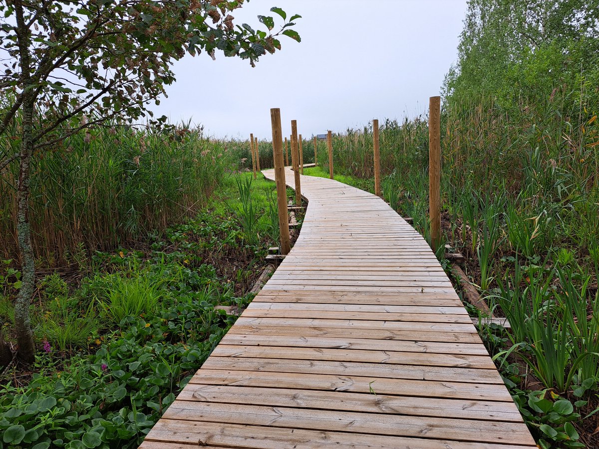 Vielä viikonlopun! <a href="/Loviisa_Lovisa/">Loviisan kaupunki - Lovisa stad</a> <a href="/Asuntomessut/">Asuntomessut</a> Upeita huolellisesti rakennettuja taloja meren rannalla. Viihtyisiä sisustuksia, luonnonläheisiä sävyjä, laadukkaita materiaaleja. Bonus: pitkospuut rantapuiston läpi ja alkuperäisten mäntyjen säästäminen. #asuminen #arkkitehtuuri