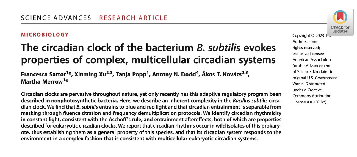 EvolvedBiofilm's tweet photo. New collaborative paper in @ScienceAdvances by @SartFrancesca @Xinming_Xu @ant_dodd and @MarthaMerrow reveals the complexity of Bacillus subtilis circadian system that is reminiscent of circadian clocks in complex organisms from mammals to plants
https://t.co/Ukh4bYl3ZG https://t.co/caDrHcFtK6