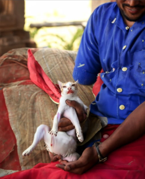 AndyRusseII's tweet image. 