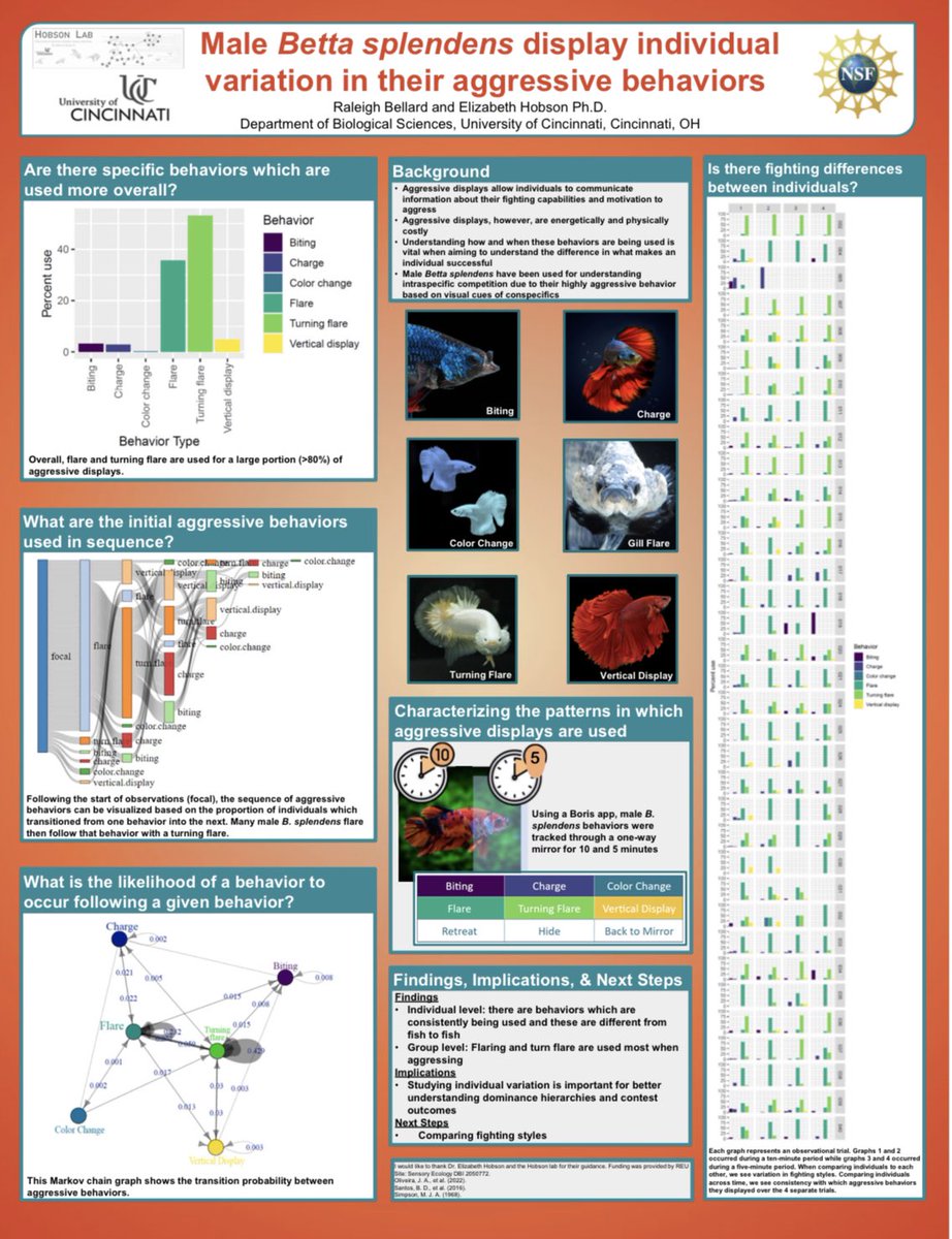 Raleigh Bellard tweet media