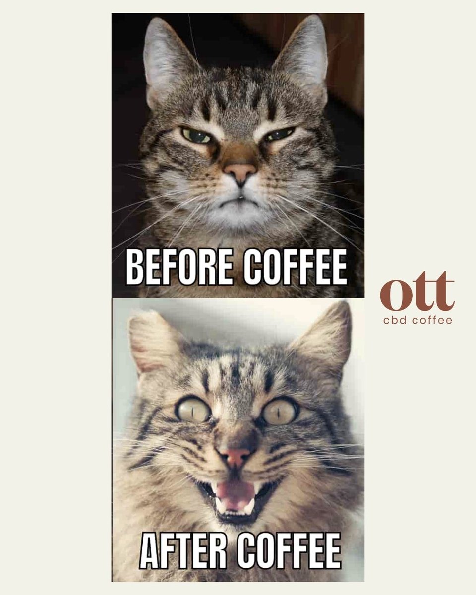 ott_coffee's tweet photo. 😴🐱 Before OTT Coffee: Sleepy kitty mode! 😺☕ After OTT Coffee: Purrfection! Embrace your pace with hemp-infused bliss. https://t.co/vSBFBO8UNx #OTTcoffee https://t.co/Ix4mqDxzIL