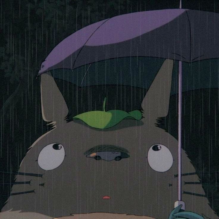 Totoro 😍