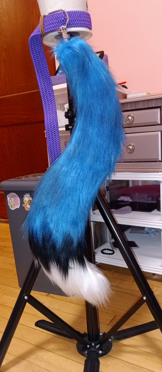 calicowizard's tweet photo. Finished cust0m set of blue fox ears and tail! 
#smallmaker #c0mmissi0n #FurryFriday #bluefox https://t.co/tQO3krn7uI