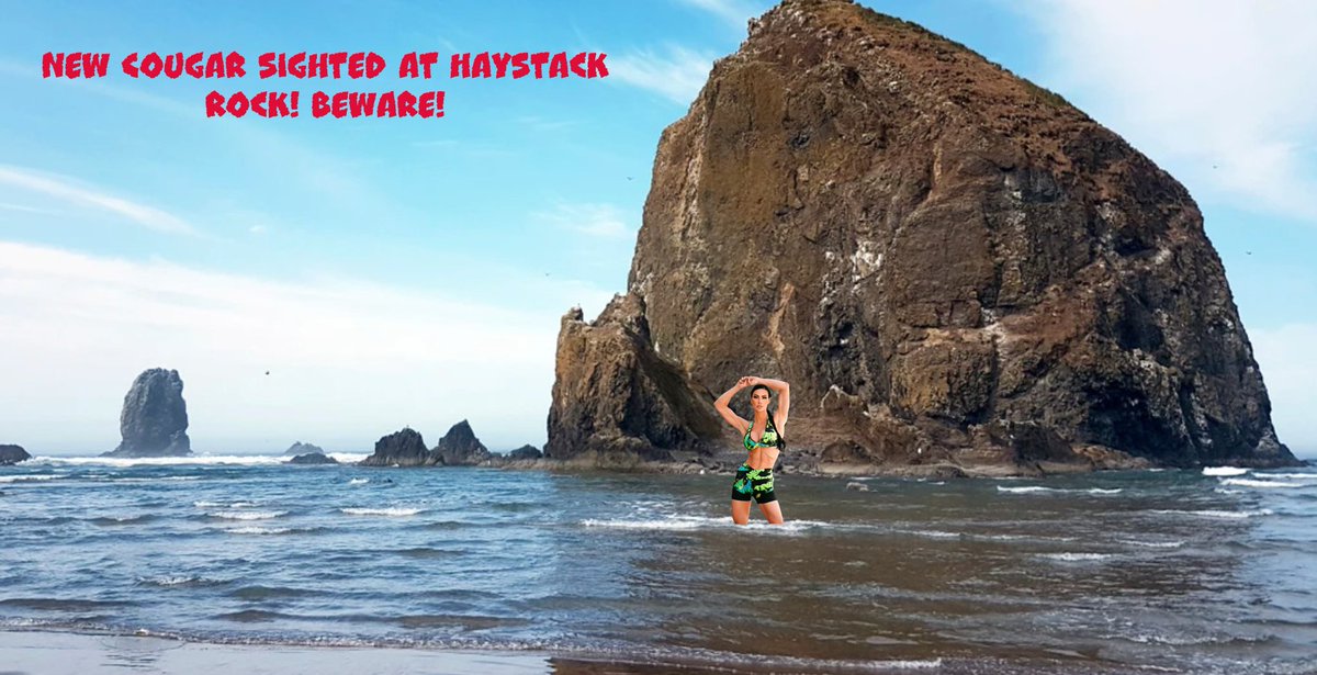 Donjerue's tweet photo. New Cougar sighting at Haystack Rock! Beachgoers be aware!
.
.
#HaystackRock #CannonBeach #CougarSighting #BeachgoersBeware #funny https://t.co/KOm4Vkzcmu