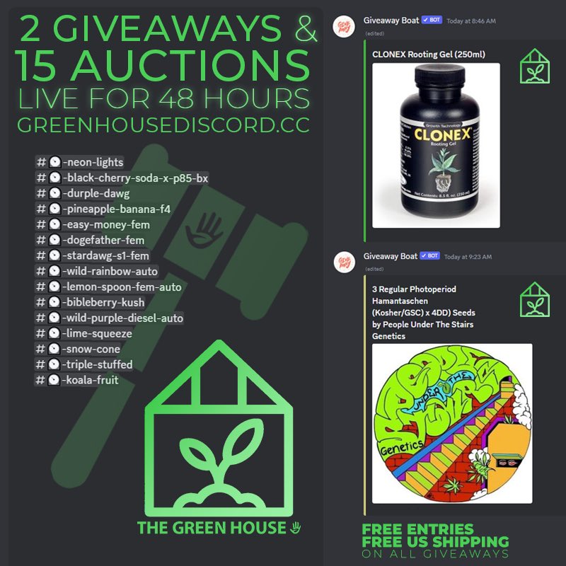 greenhousediscord.cc #cannabis #seed #auction #growyourown #mmemberville #giveaway